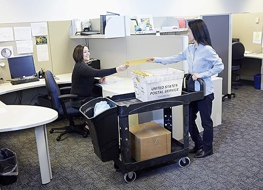 Rubbermaid Commercial Products 2-Shelf Utility/Service Cart, Small, Lipped Shelves, Ergonomic Handle, 500 lbs. Capacity, for Warehouse/Garage/Cleaning/Manufacturing