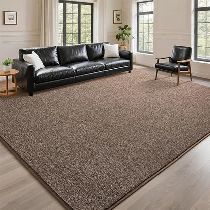 DweIke Rugs for Bedroom Living Room, 4x6 ft Brown Area Rug, Washable Memory Foam Indoor Carpet, Modern Non-Slip Ultra Soft Carpets for Kids Boys Girls Adults Nursery Dorm Home Decor