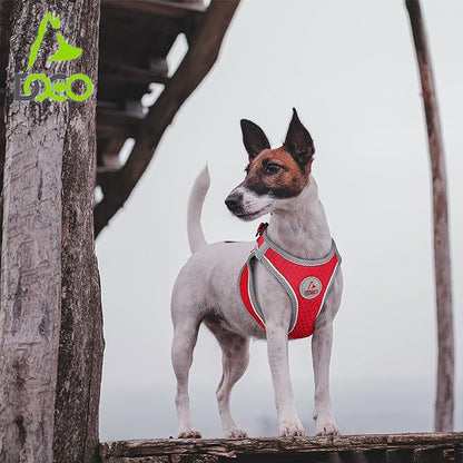 DOCO Dog Harness (Chest 13.5"-14", Weight 4–6 lbs) Athletica Adjustable Heavy Duty No Choke Puppy Vest for Small Dogs Lightweight Air Mesh, Reflective, Puppy Essentials – Orange, X-Small