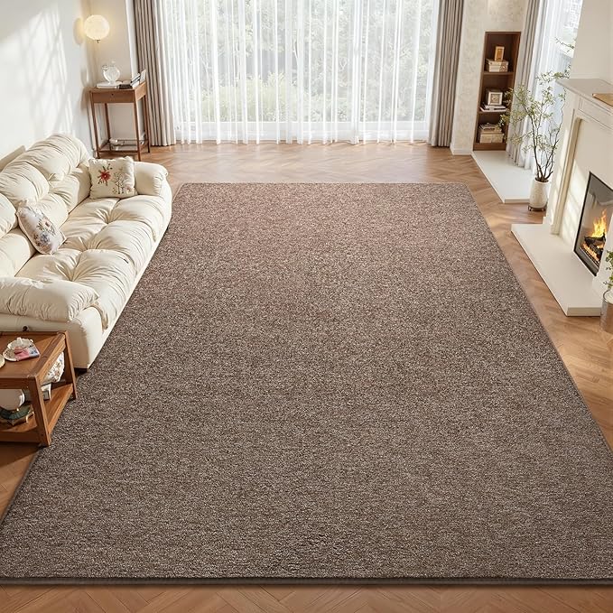 DweIke Rugs for Bedroom Living Room, 4x6 ft Brown Area Rug, Washable Memory Foam Indoor Carpet, Modern Non-Slip Ultra Soft Carpets for Kids Boys Girls Adults Nursery Dorm Home Decor