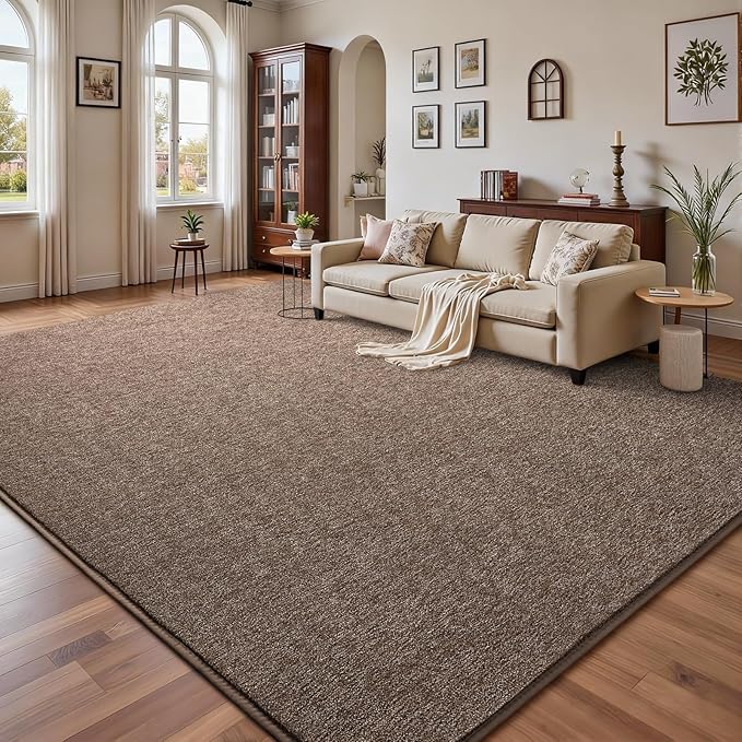 DweIke Rugs for Bedroom Living Room, 4x6 ft Brown Area Rug, Washable Memory Foam Indoor Carpet, Modern Non-Slip Ultra Soft Carpets for Kids Boys Girls Adults Nursery Dorm Home Decor